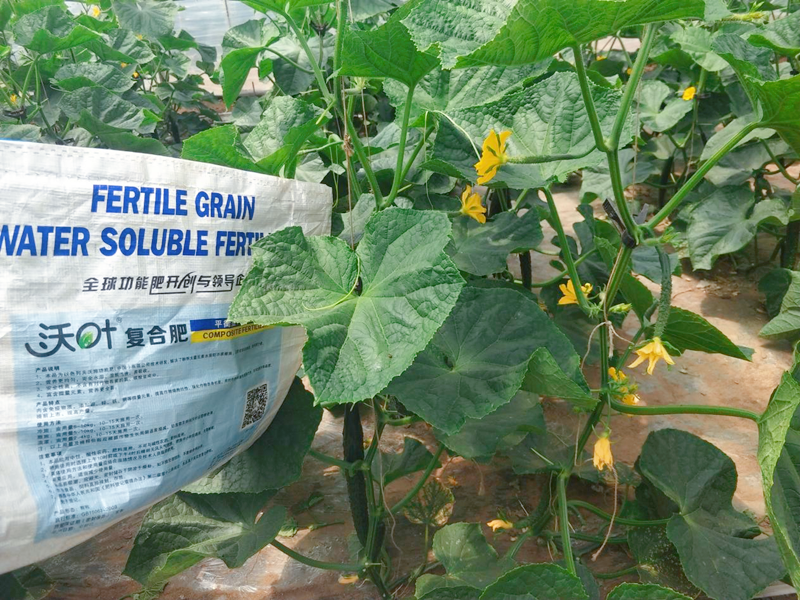 顆粒水溶肥有什么特點(diǎn)？