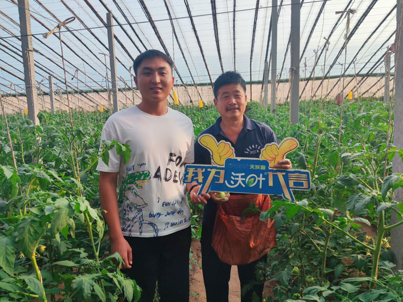 改良土壤用哪款水溶肥好？