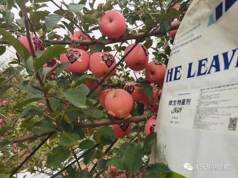 什么肥料能讓土壤變松？