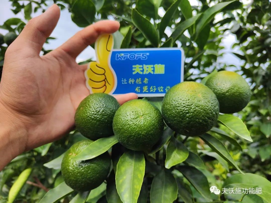 改善土壤板結(jié)用什么肥料？