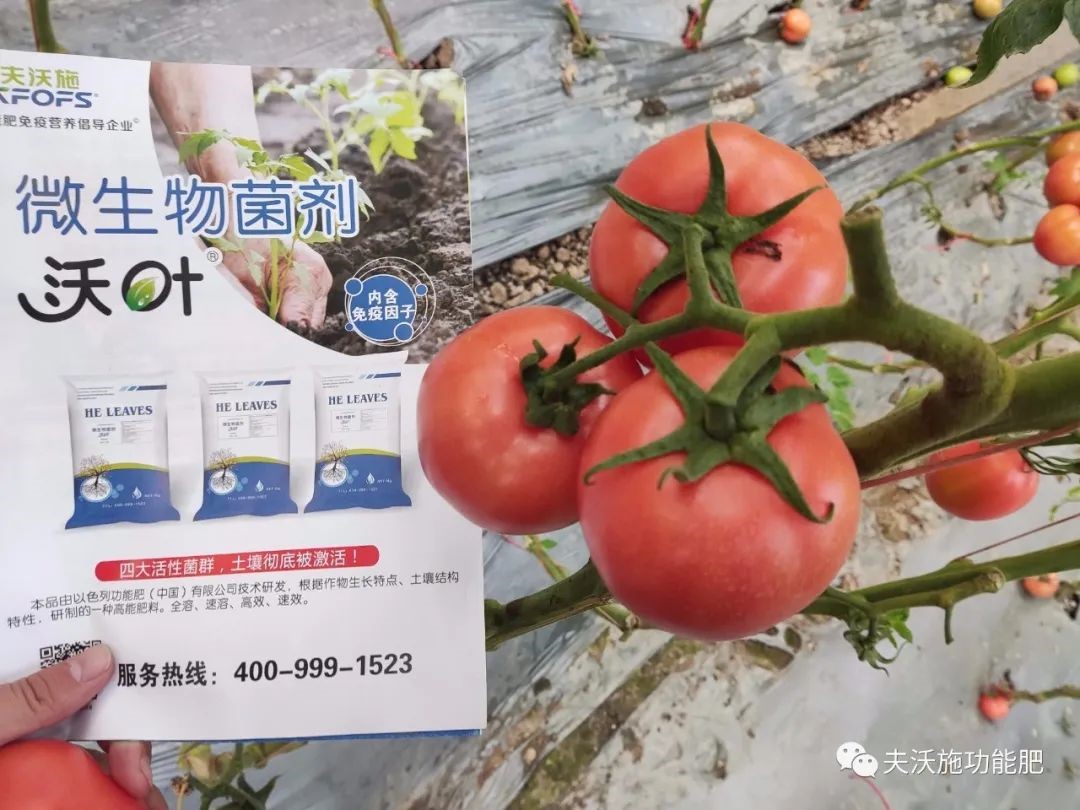 微生物菌劑選哪家？