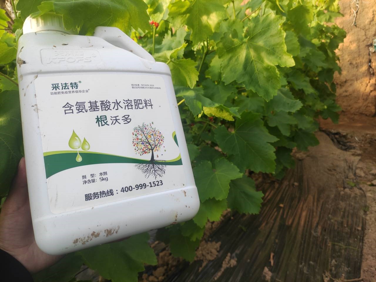 水溶肥選哪家？李總認(rèn)可采法特