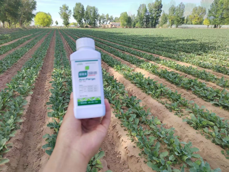 除草劑藥害怎么辦？安法戈來解決！