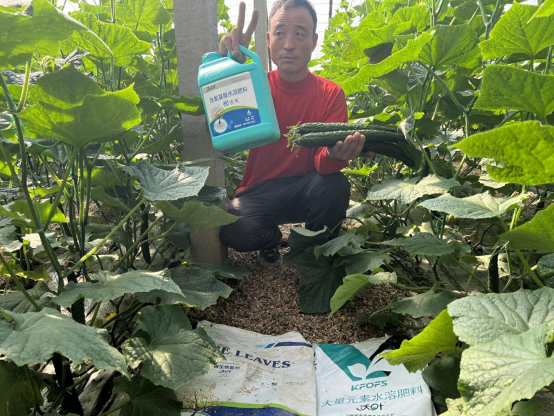 種植蔬菜用什么肥料最好？兩個解決，兩個方案