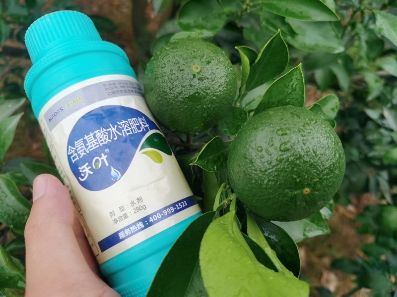 解密植物對(duì)氨基酸的吸收原理，夫沃施掌握氨基酸水溶肥核心科技
