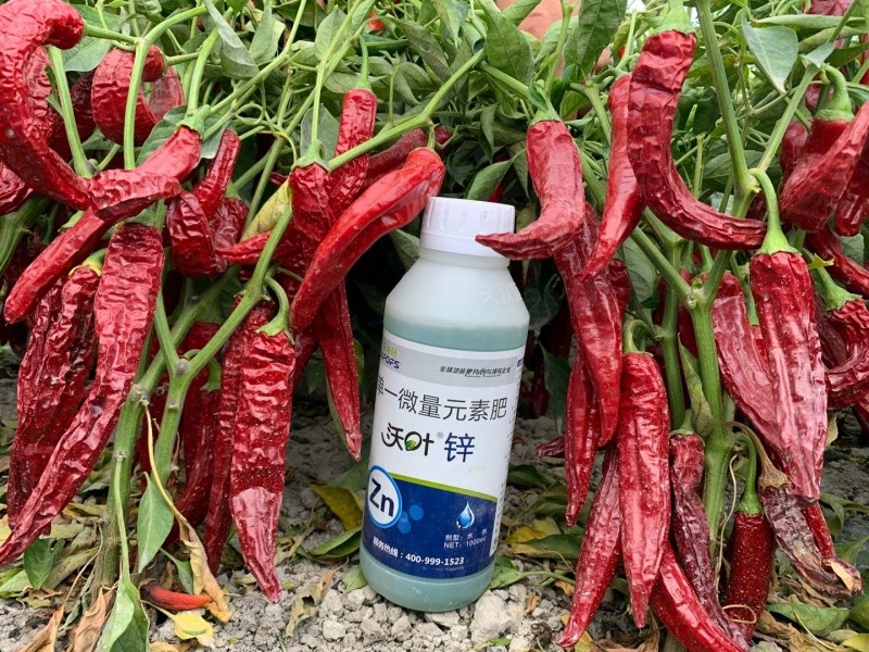 鋅肥-辣椒用沃葉鋅肥品質(zhì)好.jpg