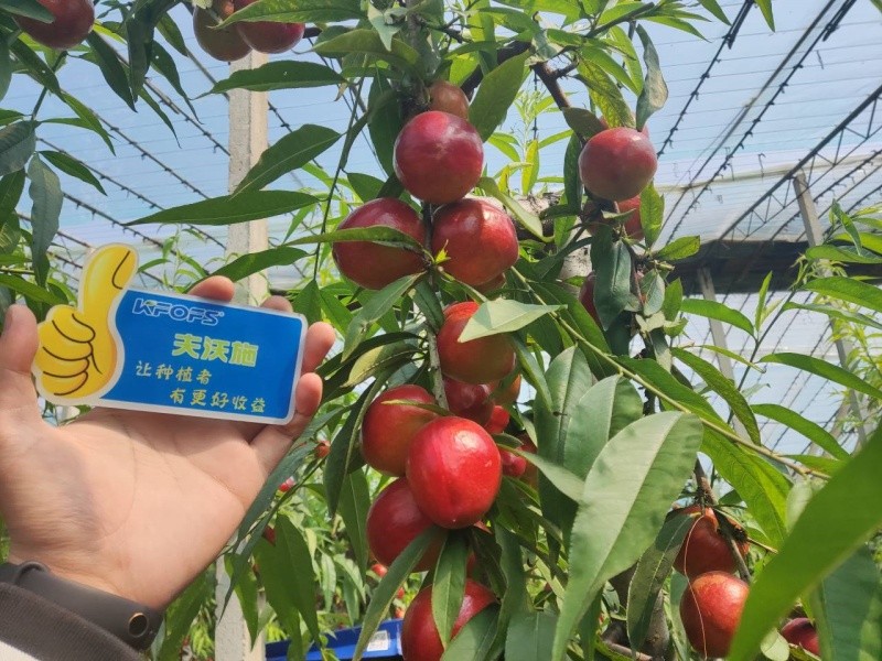 微生物菌劑的作用，你真的了解嗎？