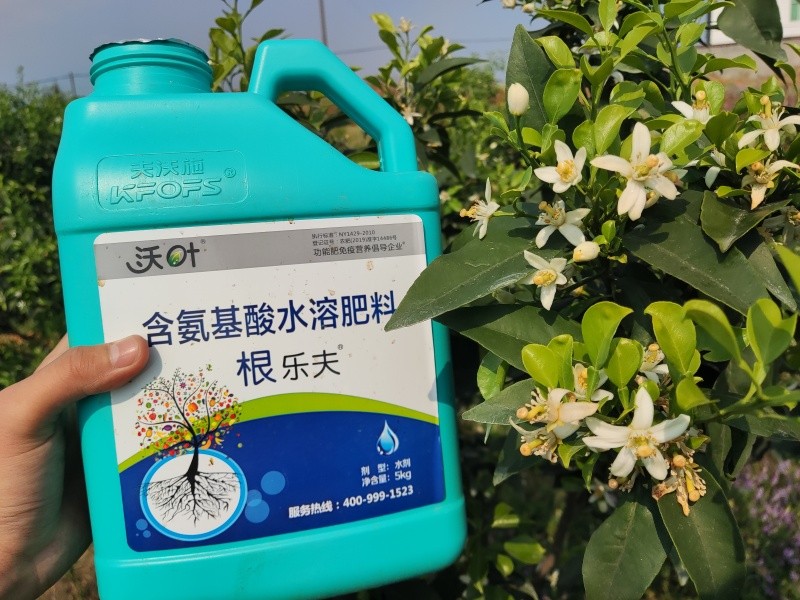 生根劑選哪個(gè)？