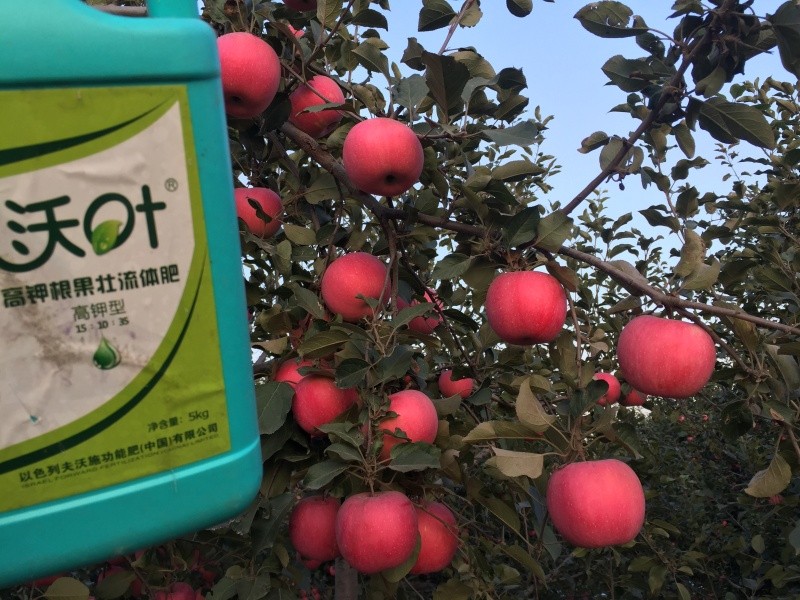 葉面肥&mdash;蘋果用沃葉流體肥效果.jpg