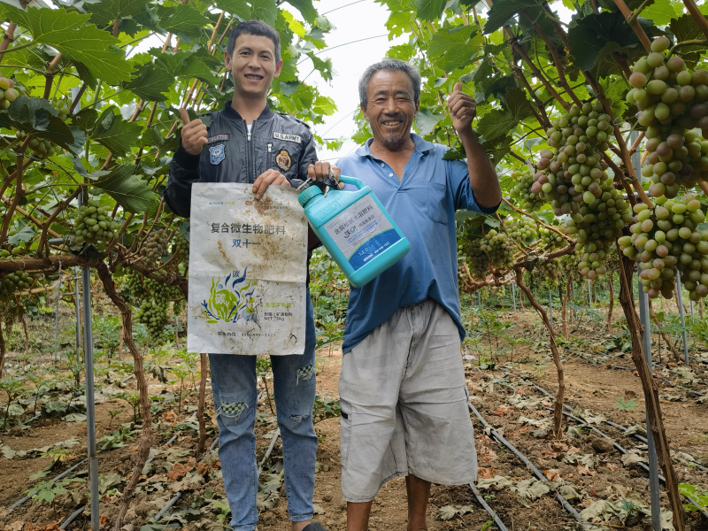 葡萄的栽培技術與管理-用戶見證.png