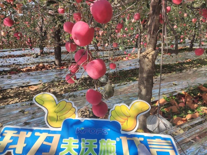 葉面肥你會用嗎？