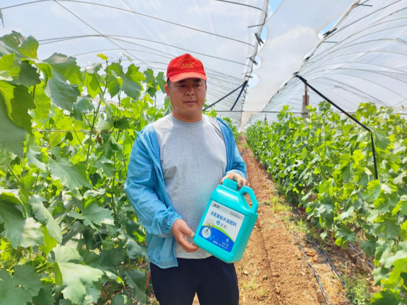 如何施肥讓果實快速膨大？