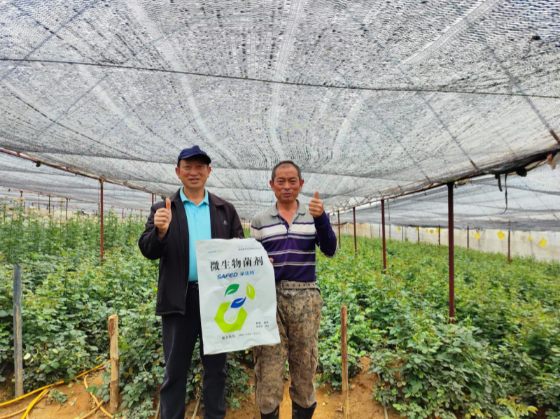 玫瑰花施肥施什么肥料？