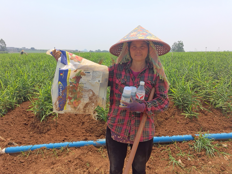 水溶肥哪家好？判斷標(biāo)準(zhǔn)“三看”