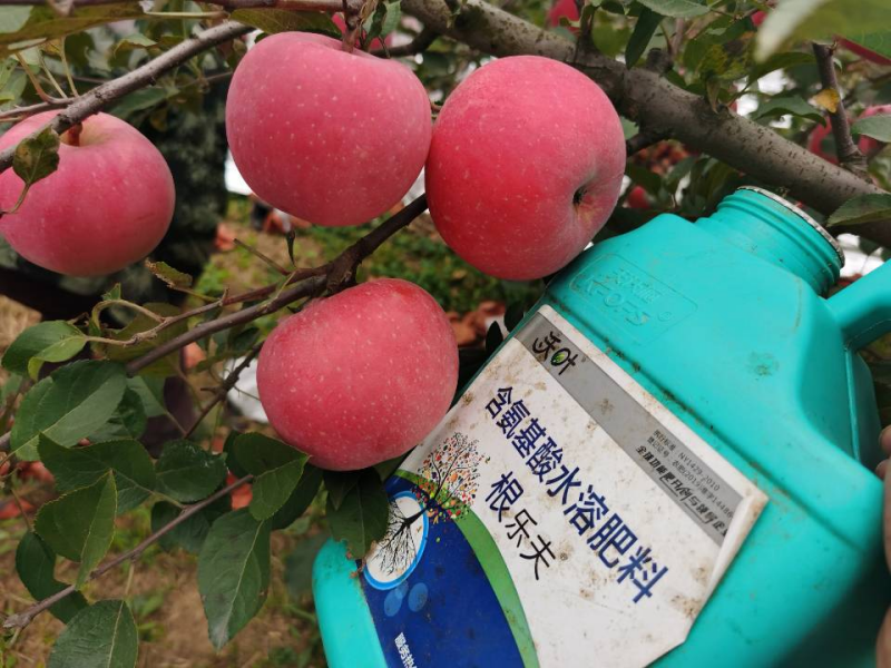 生根劑哪個(gè)牌子好？