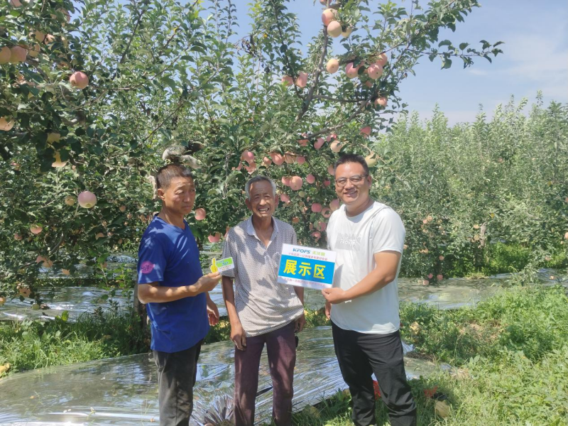 蘋果花葉病毒病怎么治?