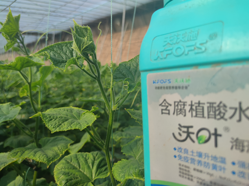 魚蛋白水溶肥什么時候用？