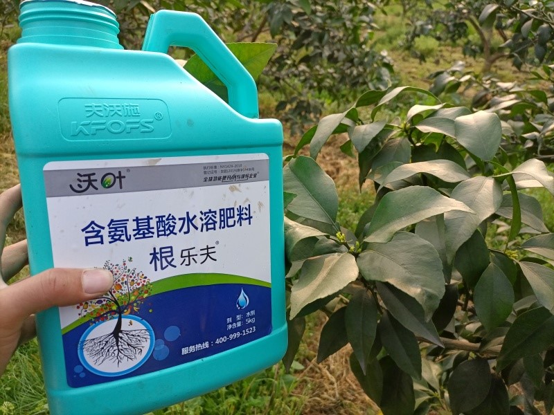 柑橘施肥用什么-沃葉根樂(lè)夫.jpg