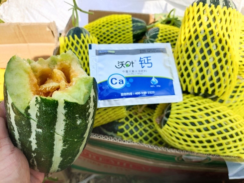 鈣肥這樣用，效果更好