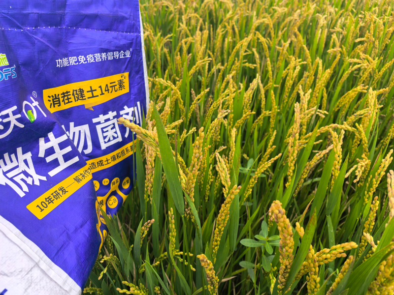 什么肥料能讓土壤變松？