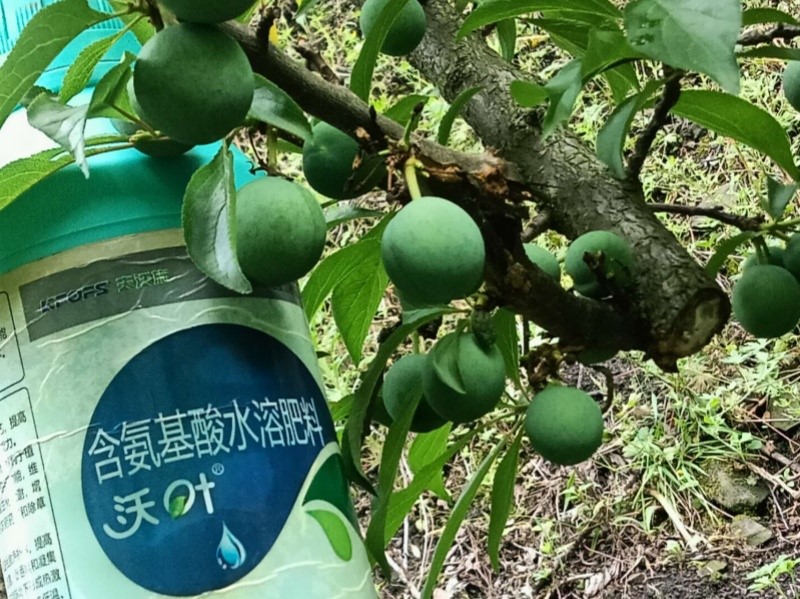 氨基酸肥料的功效與作用